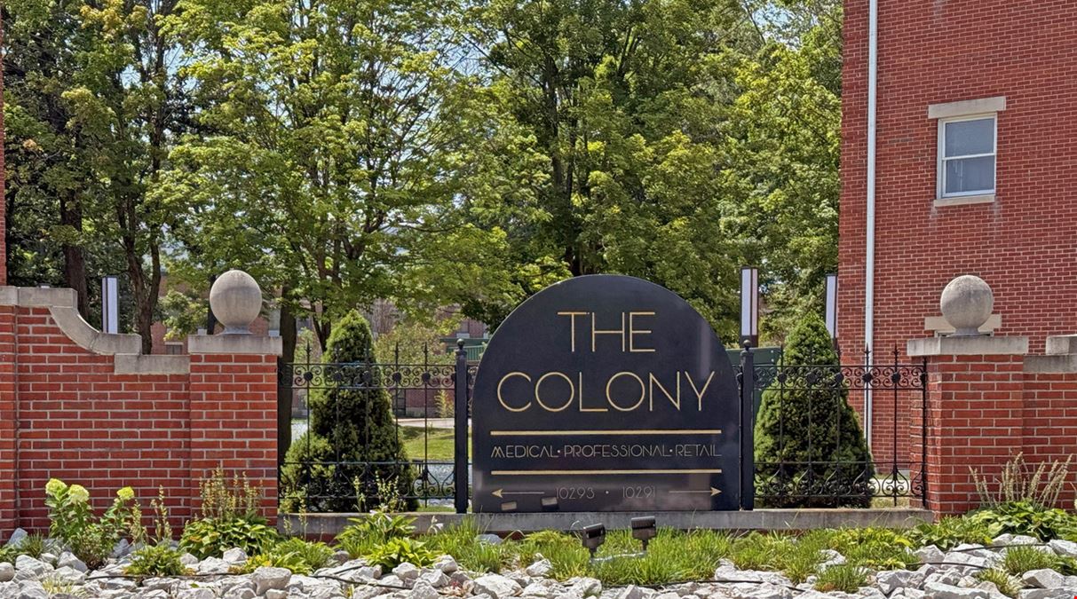 The Colony