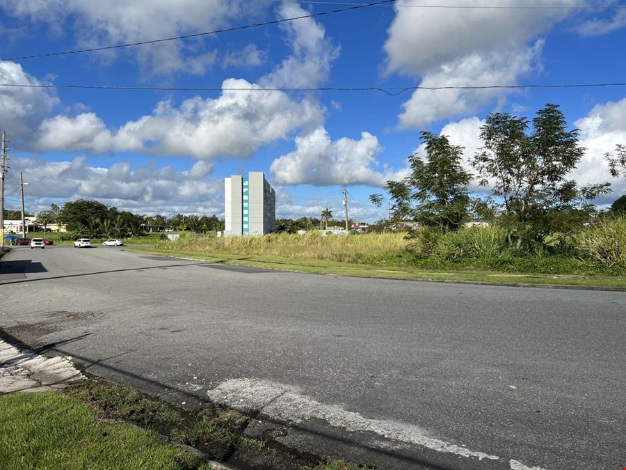Las Piedras Industrial Park - Lots 1 & 2 - For Sale