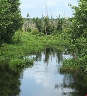 Pocotaligo River Tract - Site A