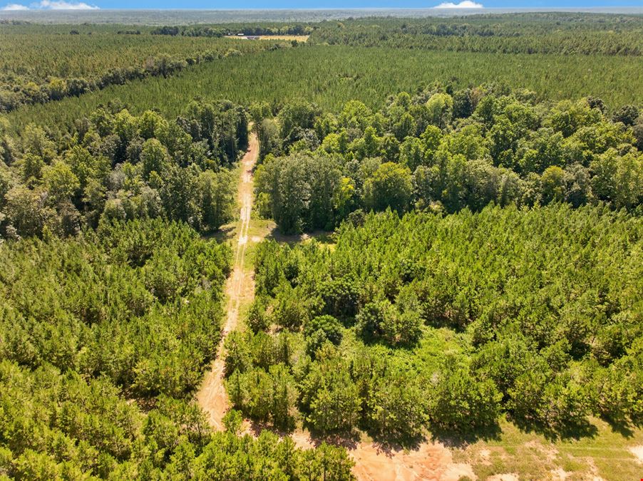 Upper River Woods