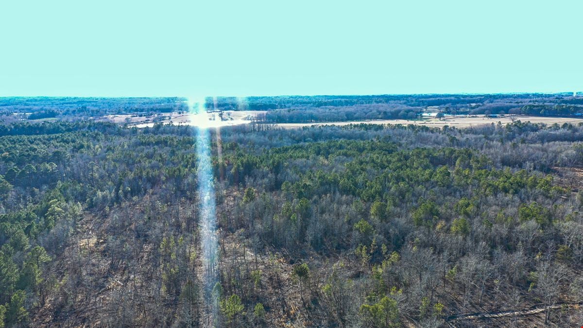 196 Acres Recreational Hunting Tract in Thomson, GA