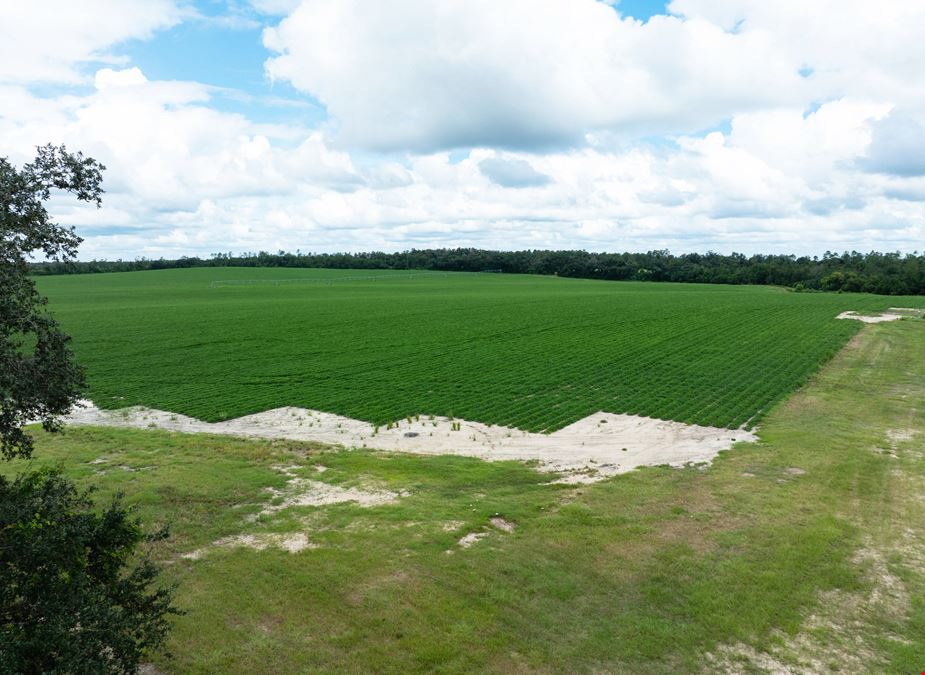 Rollings Farm - Madison County