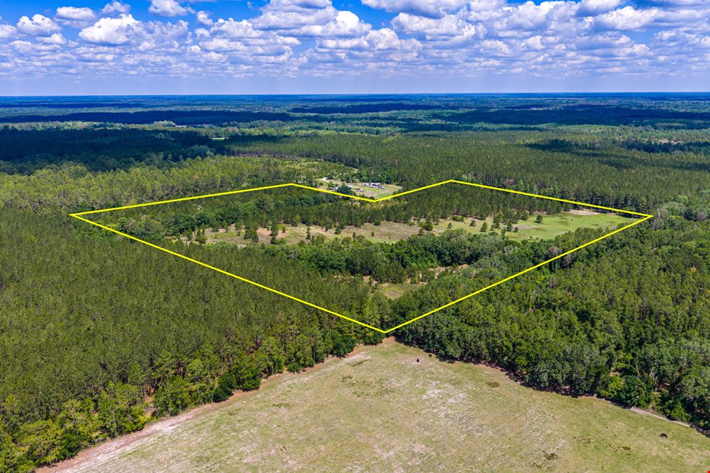 East Alachua County 35 Acre Recreation Tract