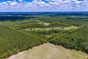 East Alachua County 35 Acre Recreation Tract