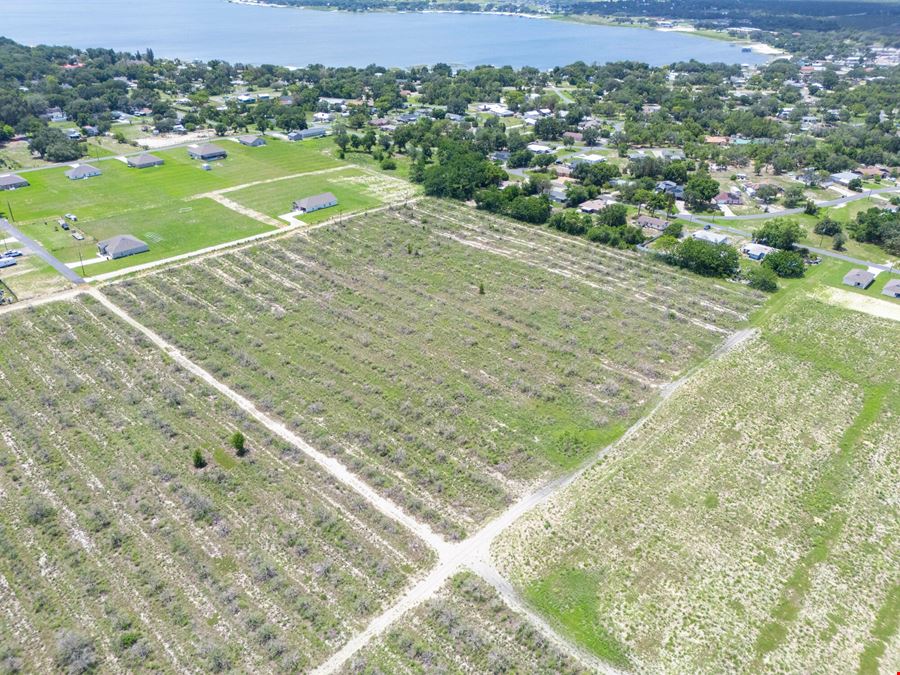 Babson Park Transitional Land