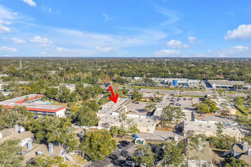 Twin Lakes Plaza in Palm Harbor