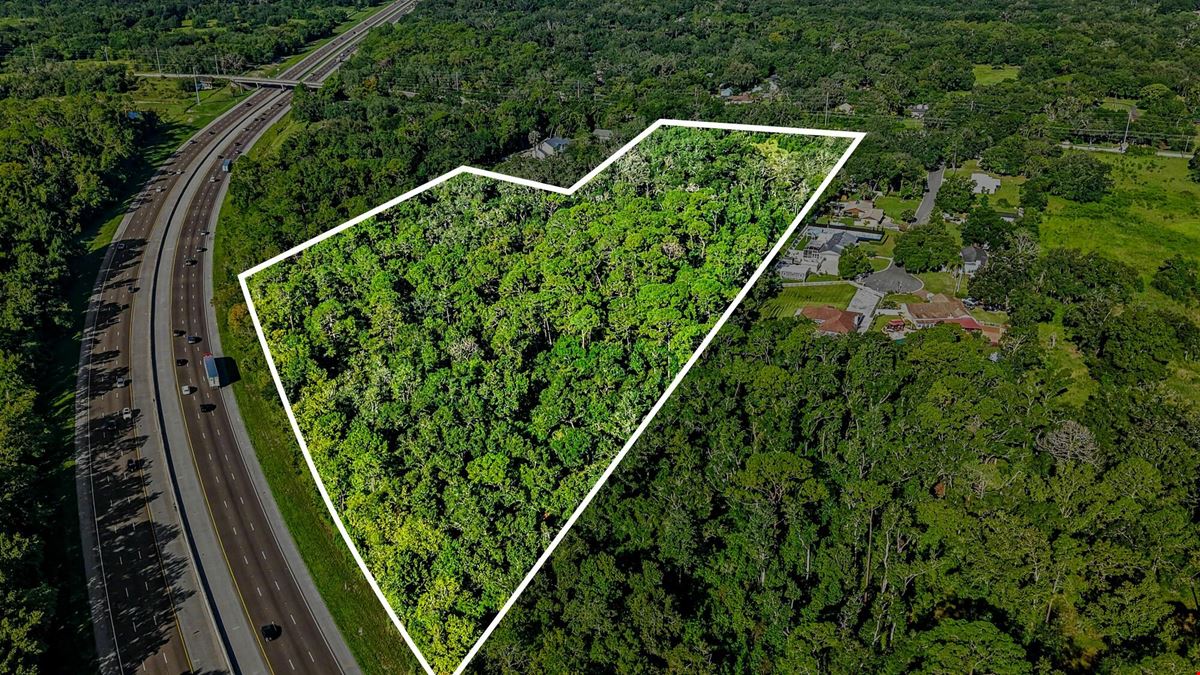 Lutz Premier Development Site