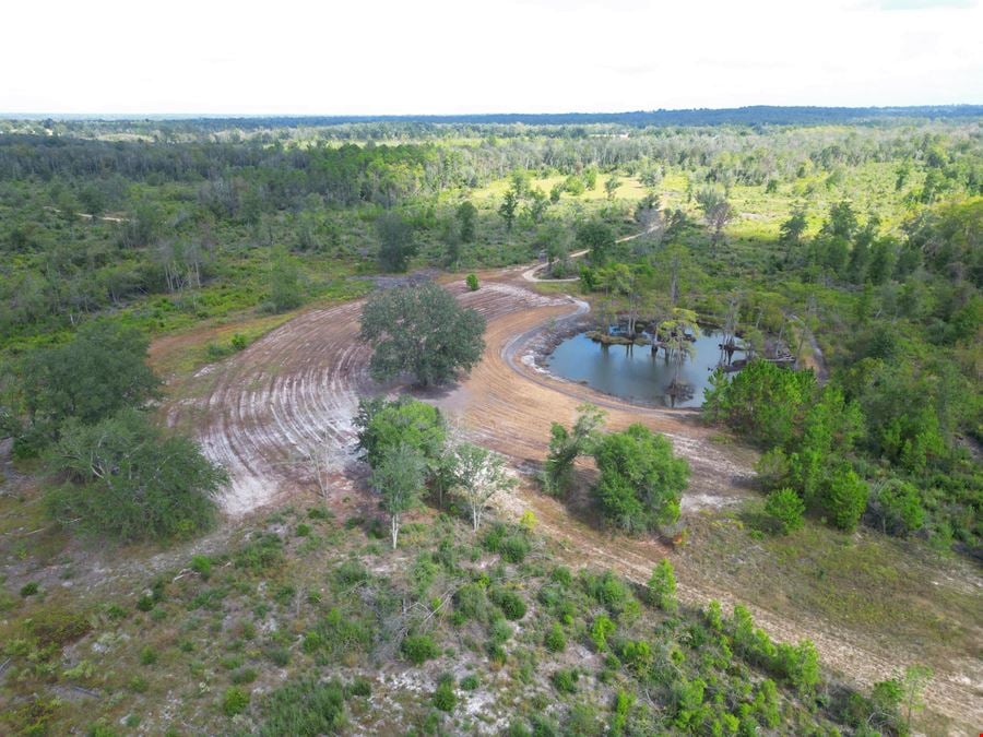 Ranch, Hunt & Invest: 280± Acres of Productive Timberland in SE Washington County
