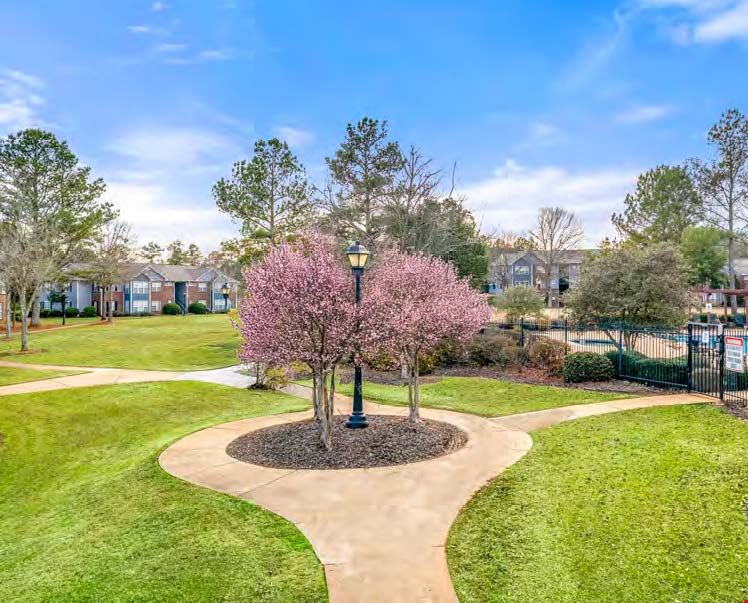 The Park at Arlington