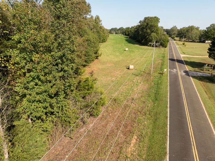 Chapman Branch Farms