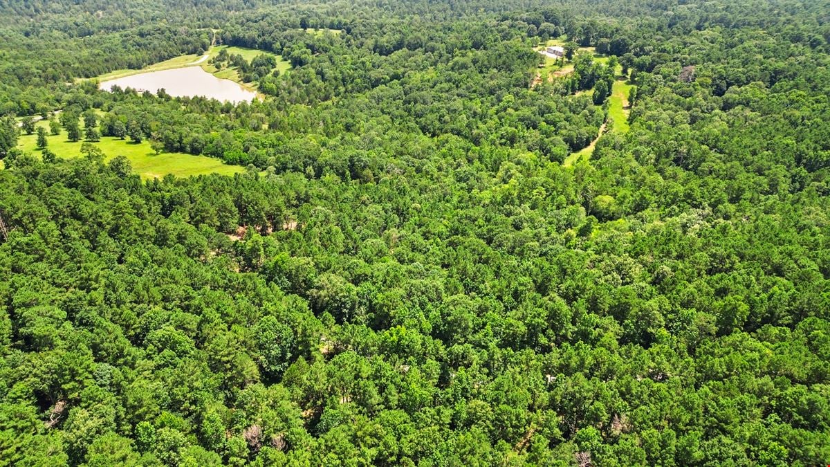 ±5.15 Acres Unrestricted in Coldspring – Ideal for Commercial, Mixed-Use, or Investment Development