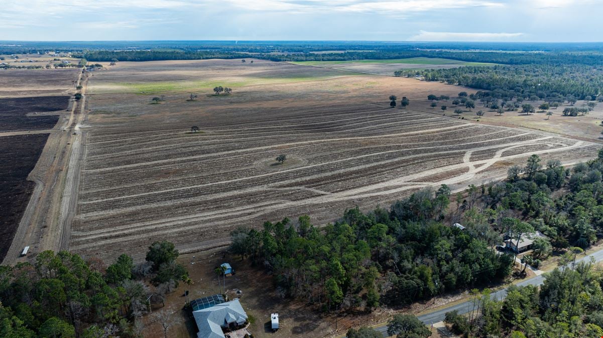 600 Acre Marion County Farm