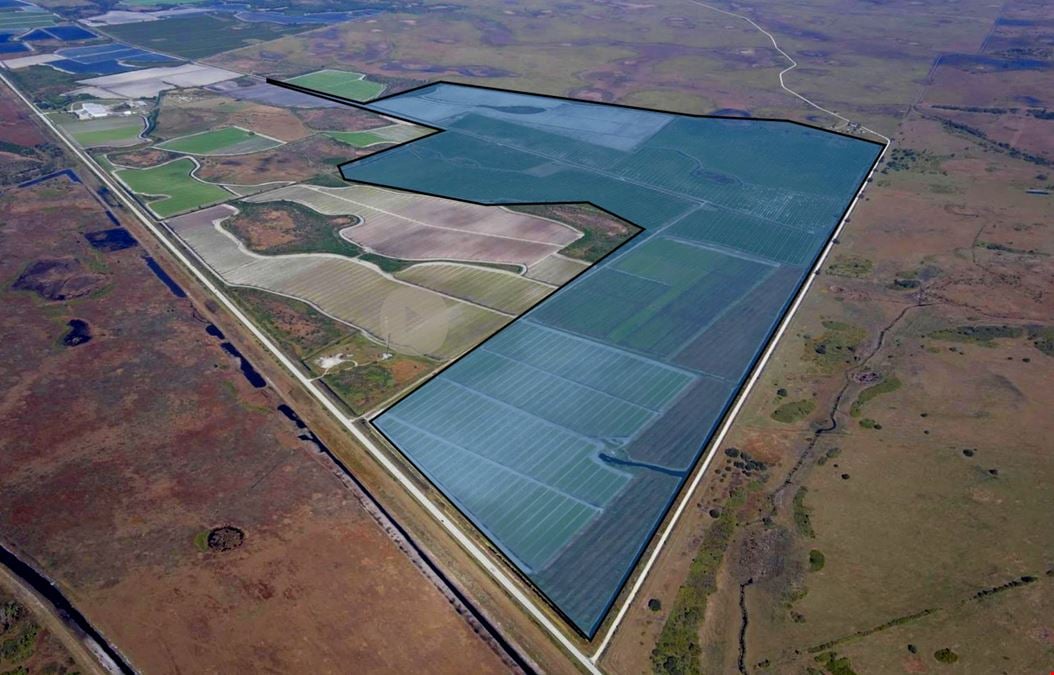 ±742.87 Acres | Osceola County, FL – Scalable Farm with Ranch History, Wildlife & No Conservation Easement
