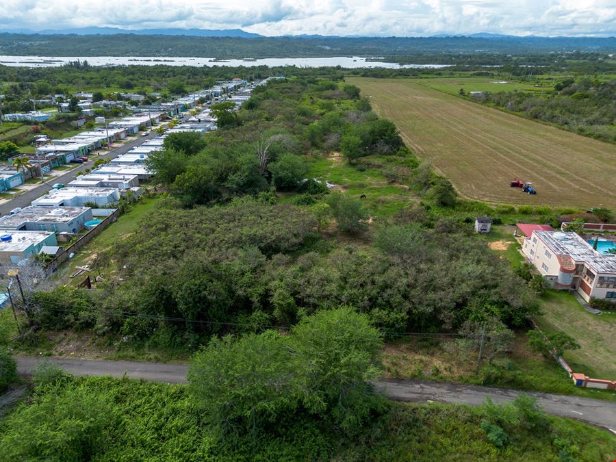 Residential Development Opportunity in Arecibo - 13.65 Acre Land