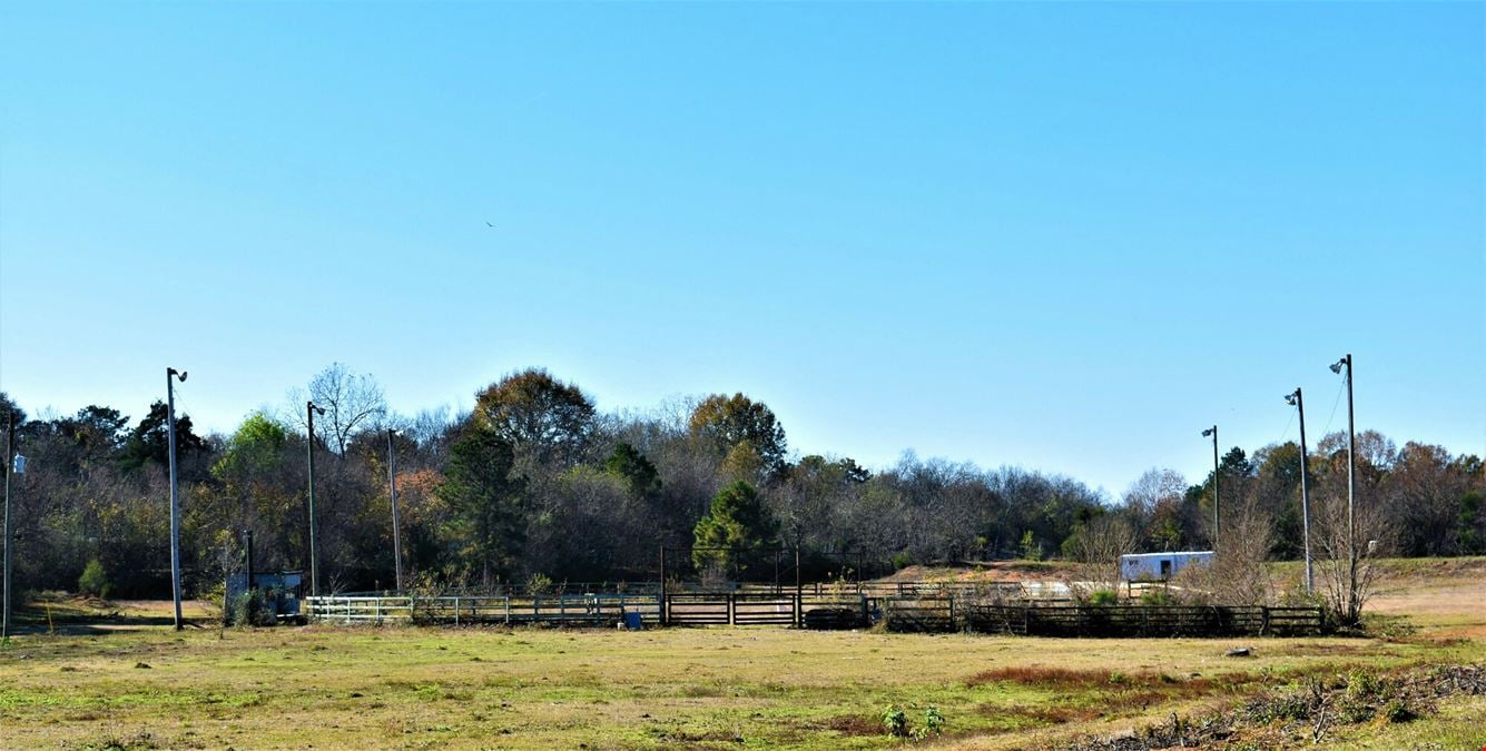 Saddlebrook Farm