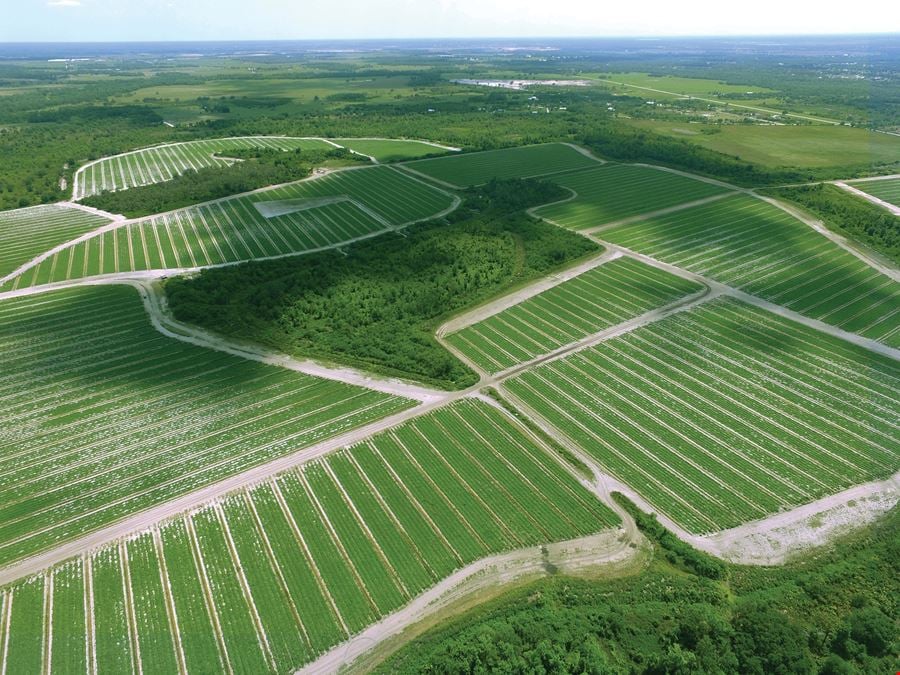 Manatee County Farm Land