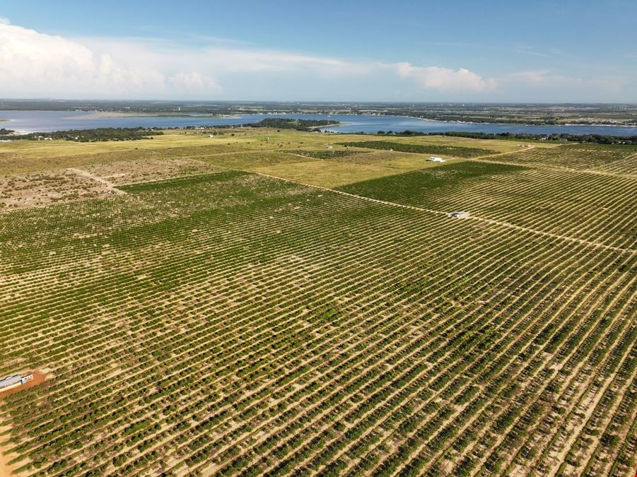 Auction - 584 Acres in Polk County