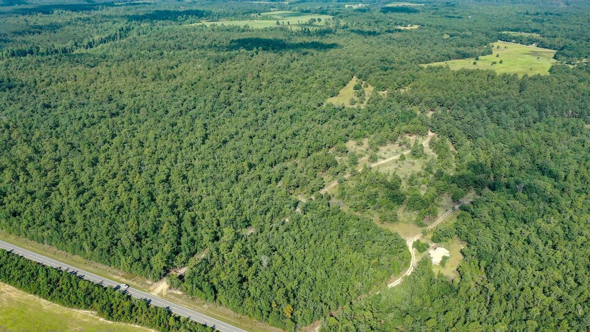111+/- Acres of Recreational Tract Geared for Hunting on the Aiken and Barnwell County Line