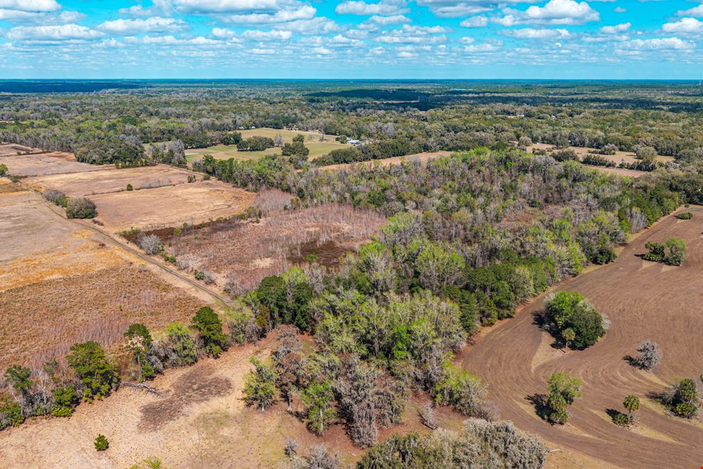 Putnam County Farmland