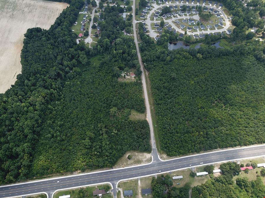 Alligator Rd