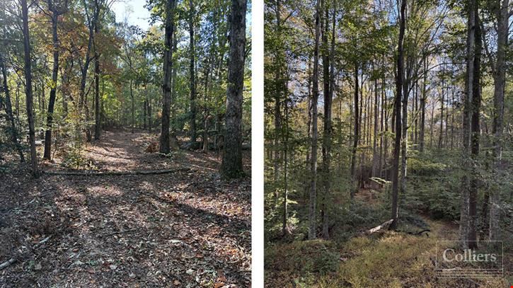 ±116.15-Acre Tract for Sale - 35 Minutes to Downtown Greenville