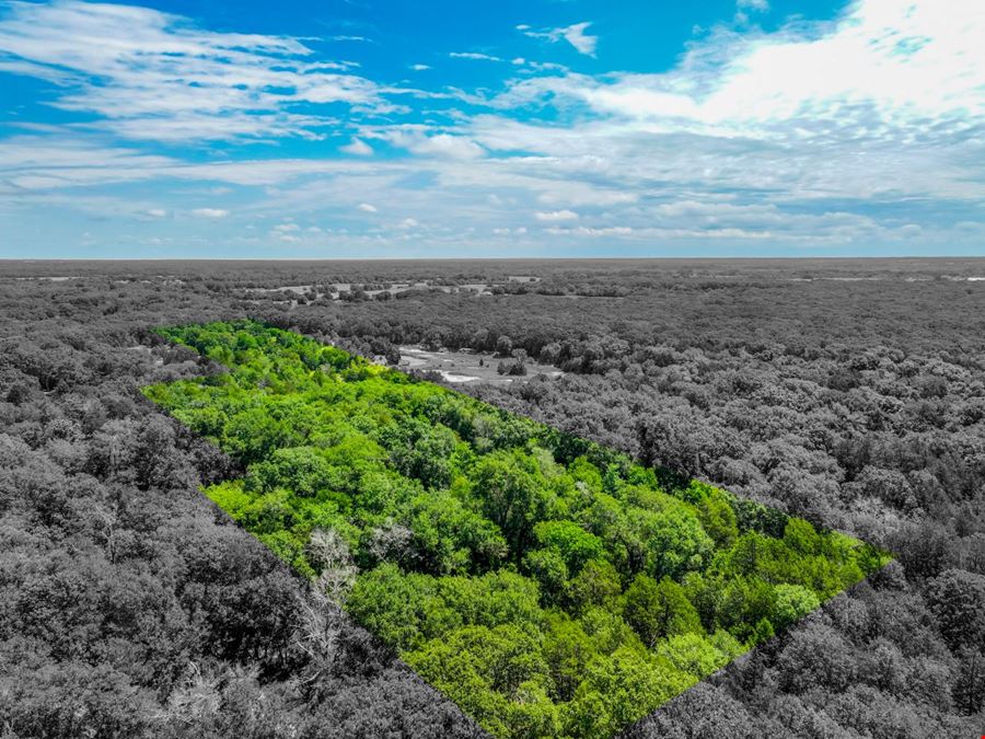Land for Sale in Greenville