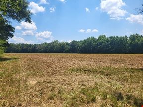 11 ac. N. Old Canton Rd