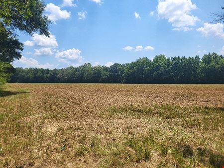 Preview of VacantLand space for Sale at  1604 Old Canton Rd N