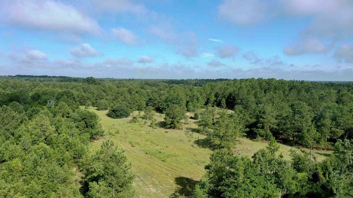 111+/- Acres of Recreational Tract Geared for Hunting on the Aiken and Barnwell County Line