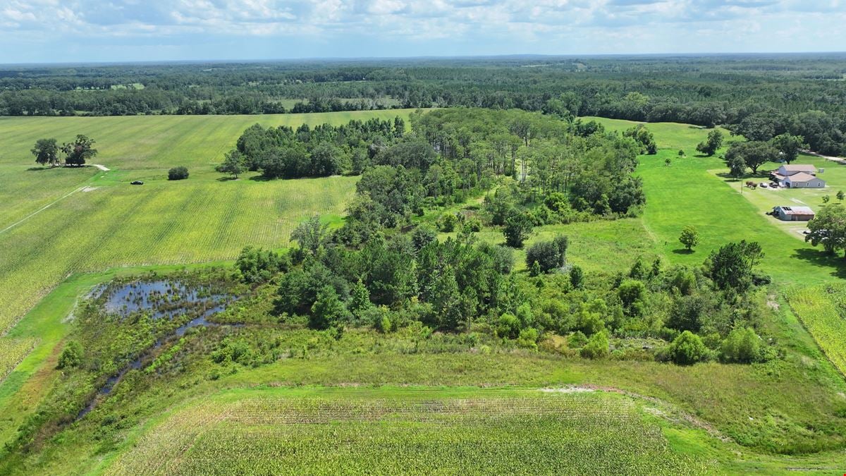 Graceville Duck Pond Farmland