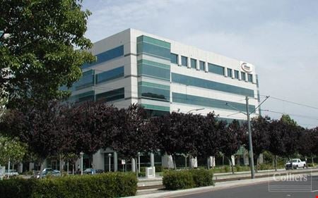 Preview of Office space for Rent at 1730 N 1st St