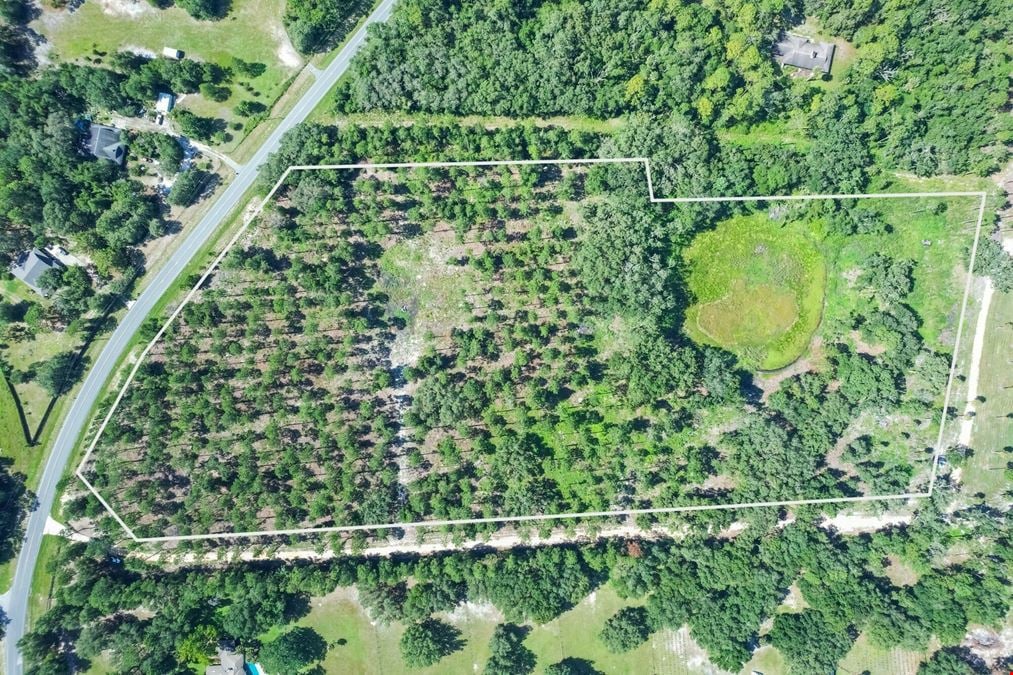 C.R. 439 - 20 Acres
