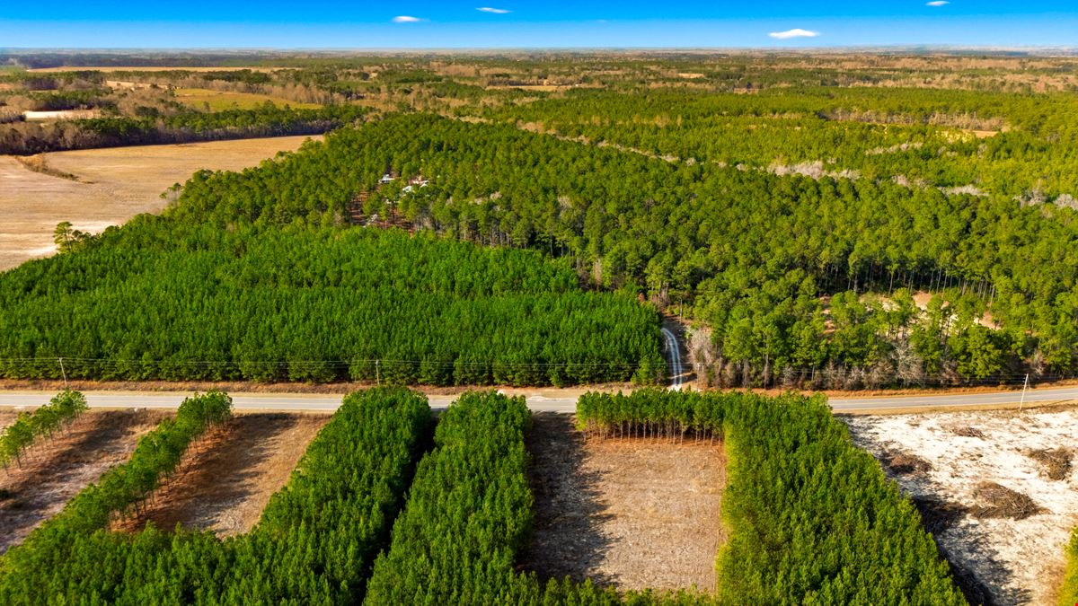 Development Opportunity - 127 Acres, Loris, SC