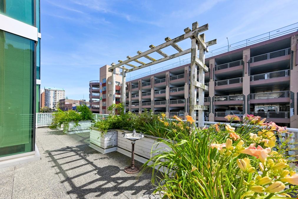 210 - 730 View St