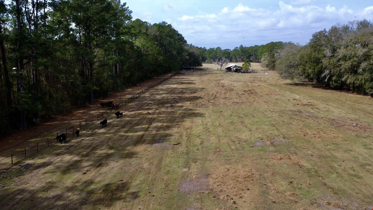 29 Acres in Horse Country