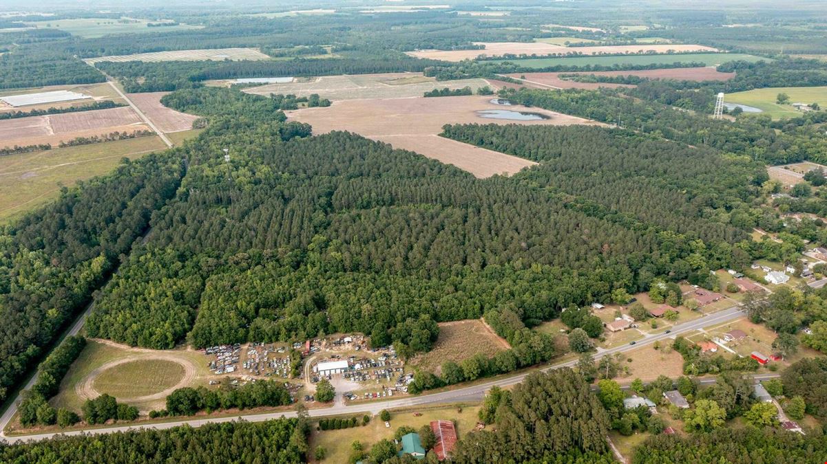 51.46 Acres of Land FOR SALE in Olar, SC