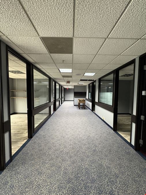 456 Fulton Street, Suite 425