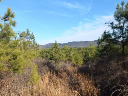 Preview of VacantLand space for Sale at Hwy 227