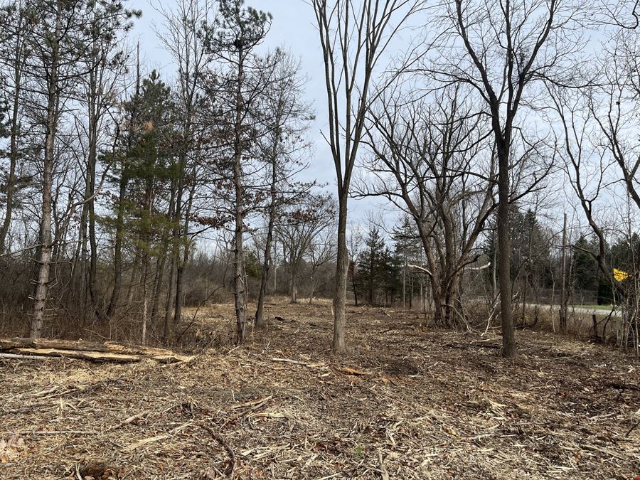 Vacant Land Opportunity for Sale - Chelsea