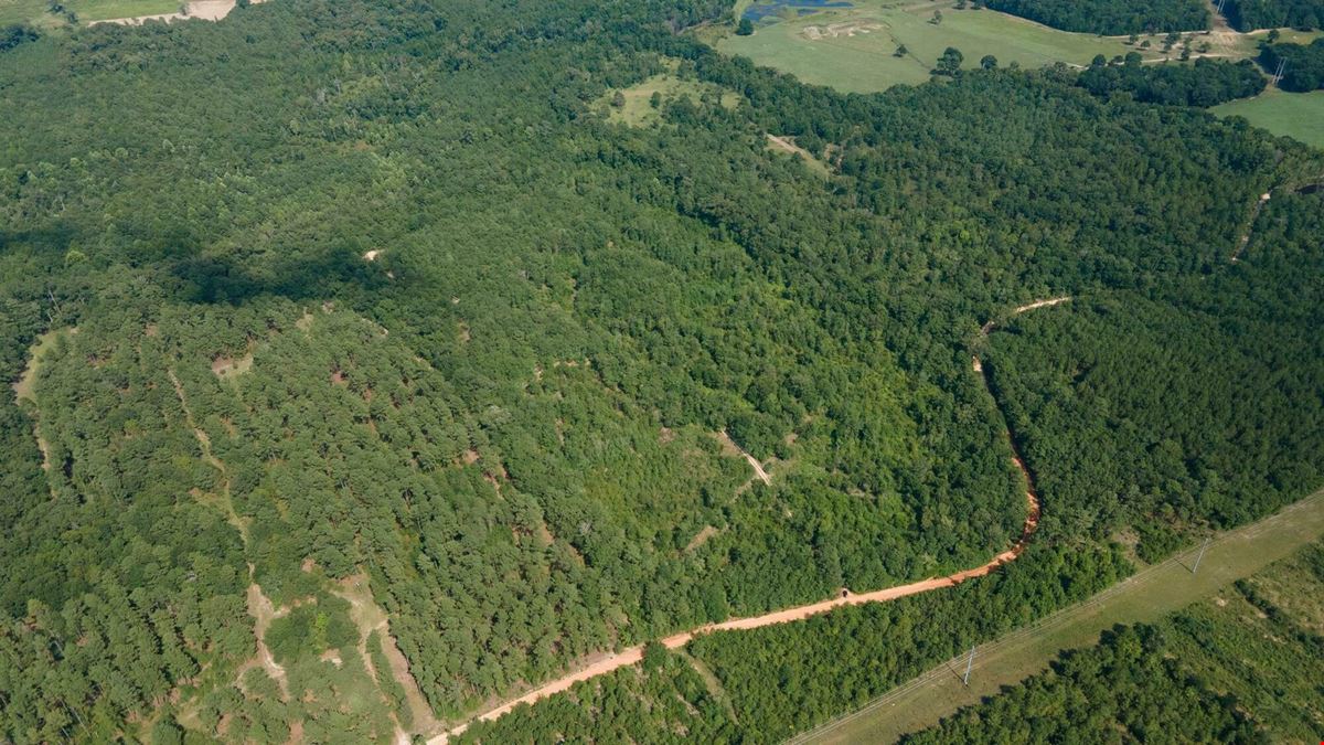 ±34 Acres | Salley, SC