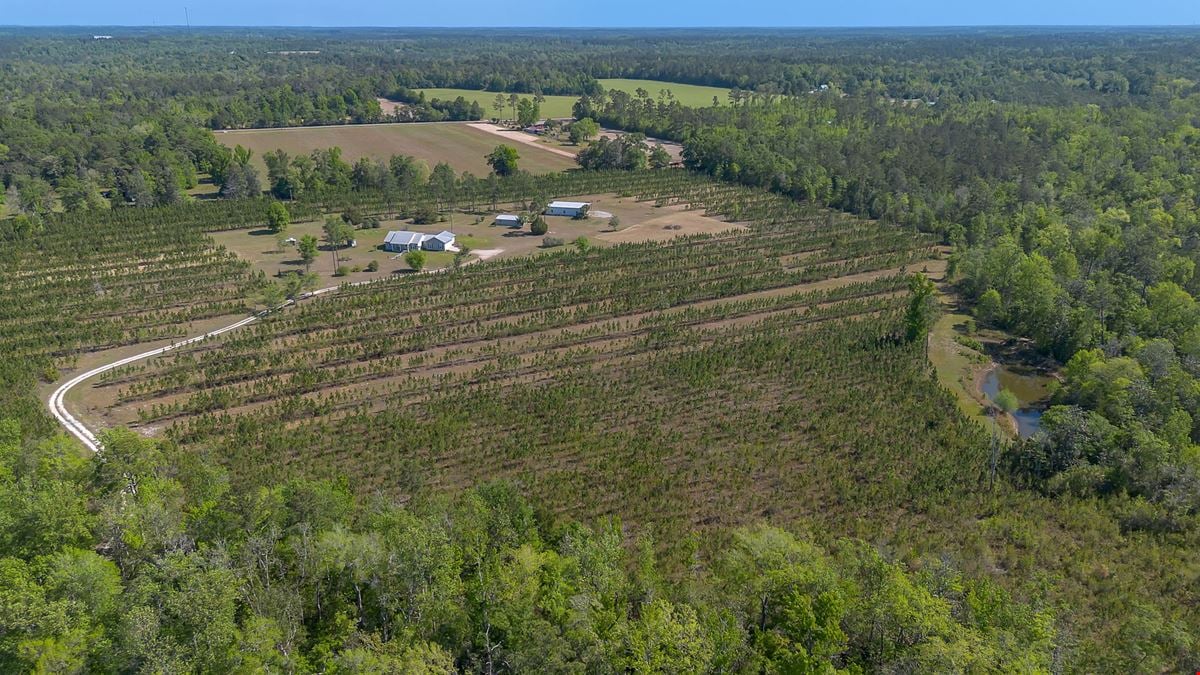 41+/- AC Residence, Farm, Timber + 1200 SF & 1800 SF storage buildings