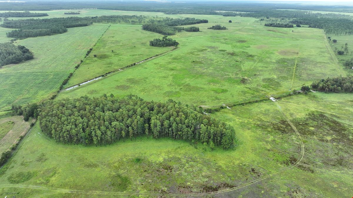 Osceola Legacy Ranch