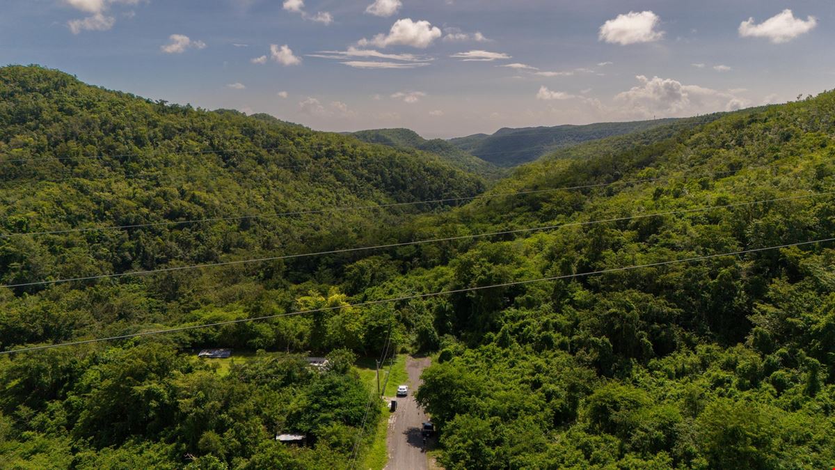 Ponce Agricultural 18.36 Acre Land @ Canas Ward - For Sale