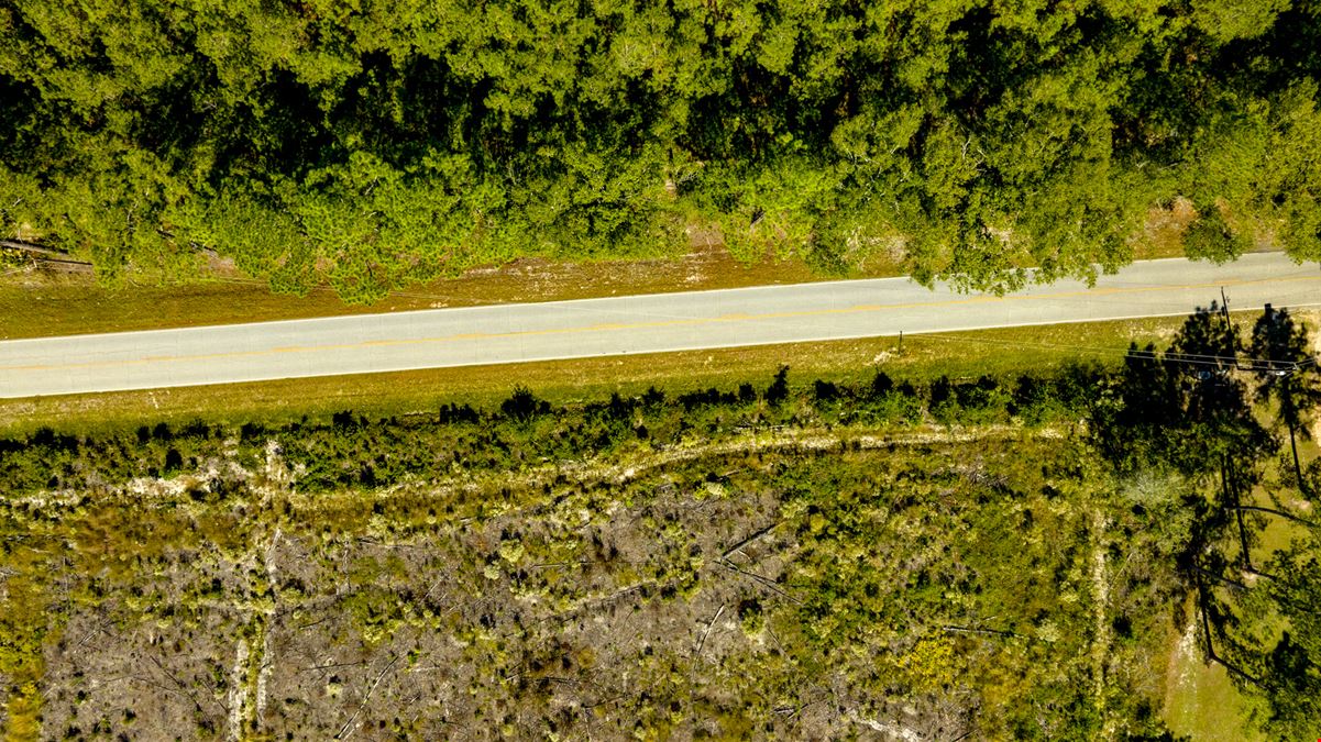 Bay Branch Pines