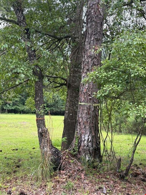 Land for Sale - Aaron Ln