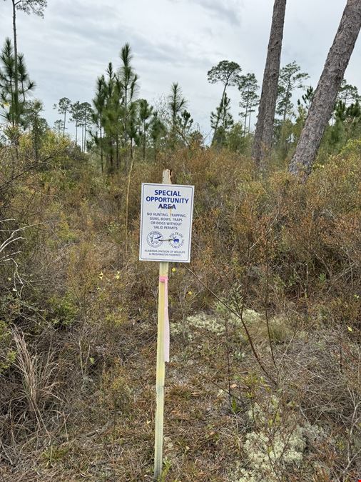 27.8 Acres Unzoned Property in Seminole, Al