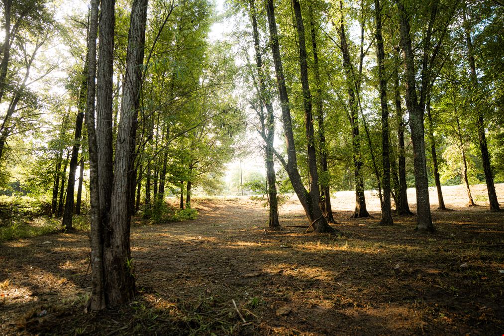 Highland Colony Parkway & Park Place - Corner Lot