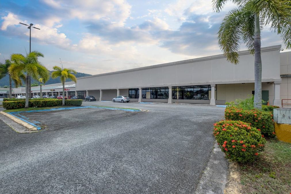 PLAZA YABUCOA SHOPPING CENTER