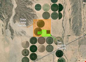 Investment Opportunity - Two-Pivot Farm Ground, Lease in Place on 552 Acres