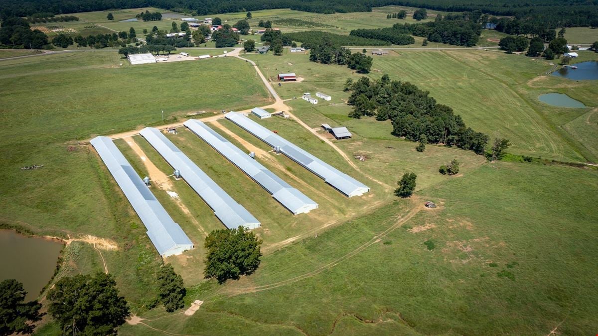 Hope Arkansas Chicken Farm